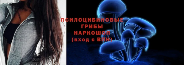 a pvp Гусь-Хрустальный