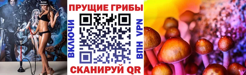 как найти   hydra вход  Псилоцибиновые грибы GOLDEN TEACHER  Звенигово 